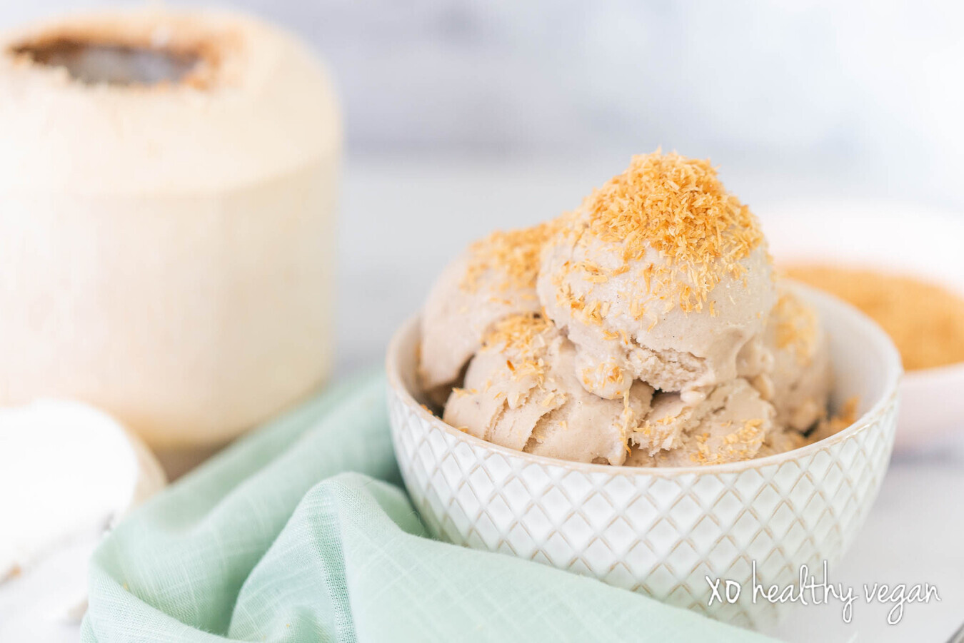 Healthy-Vegan-Luscious-Vegan-Coconut-Ice-Cream-11