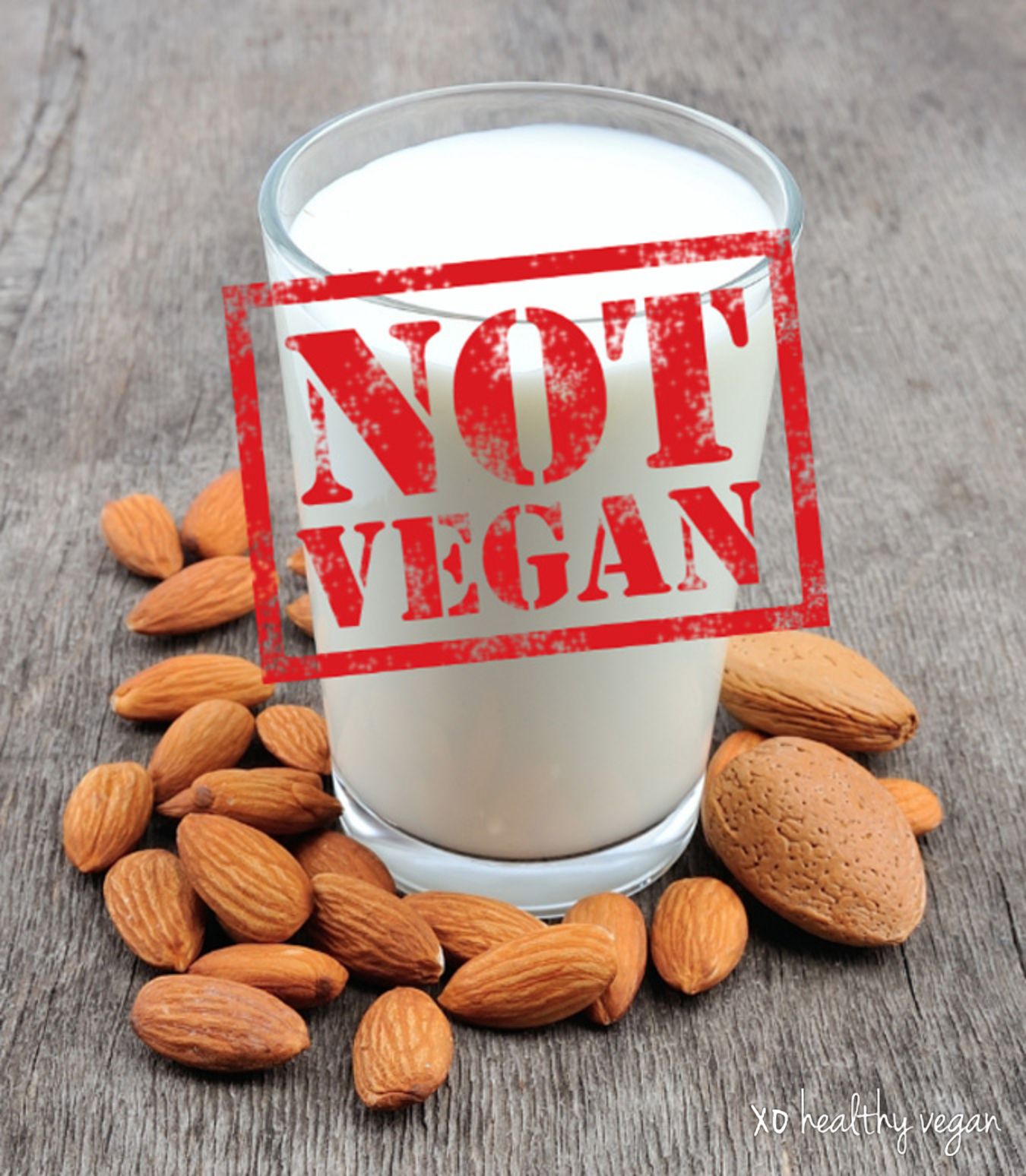 ColleenHolland.AlmondMilkNotVeganLarge