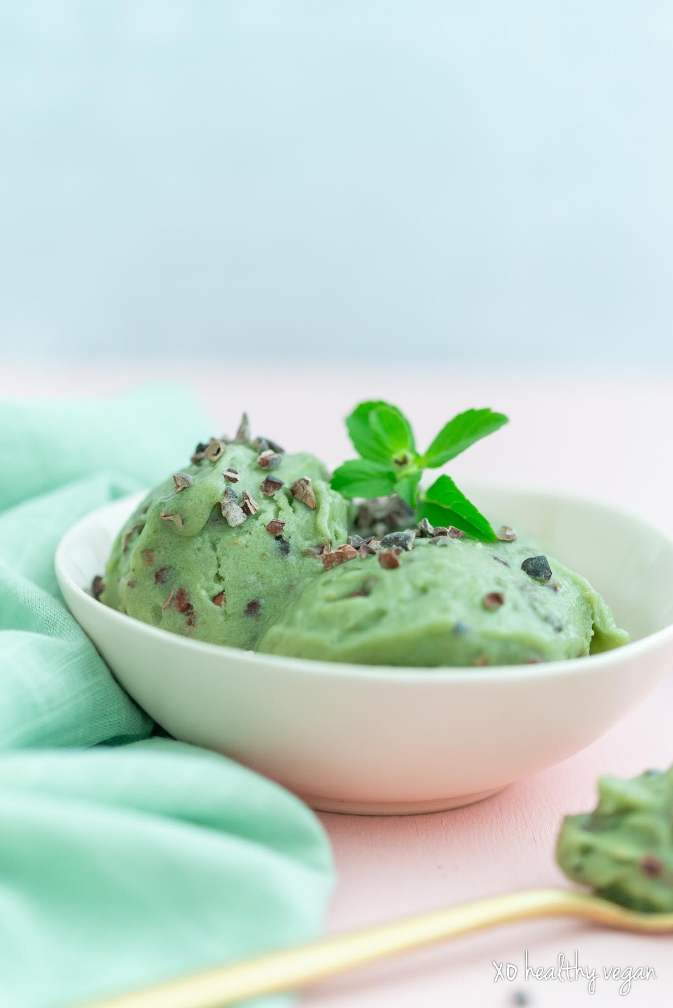 HealthyVegan-ChocolateMintIceCream-3