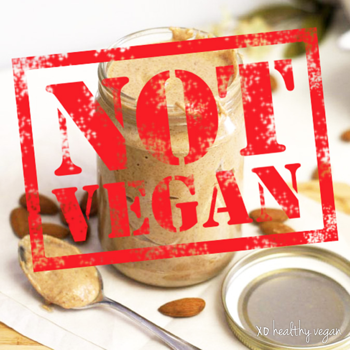 ColleenHolland.AlmondButterNotVeganSquare