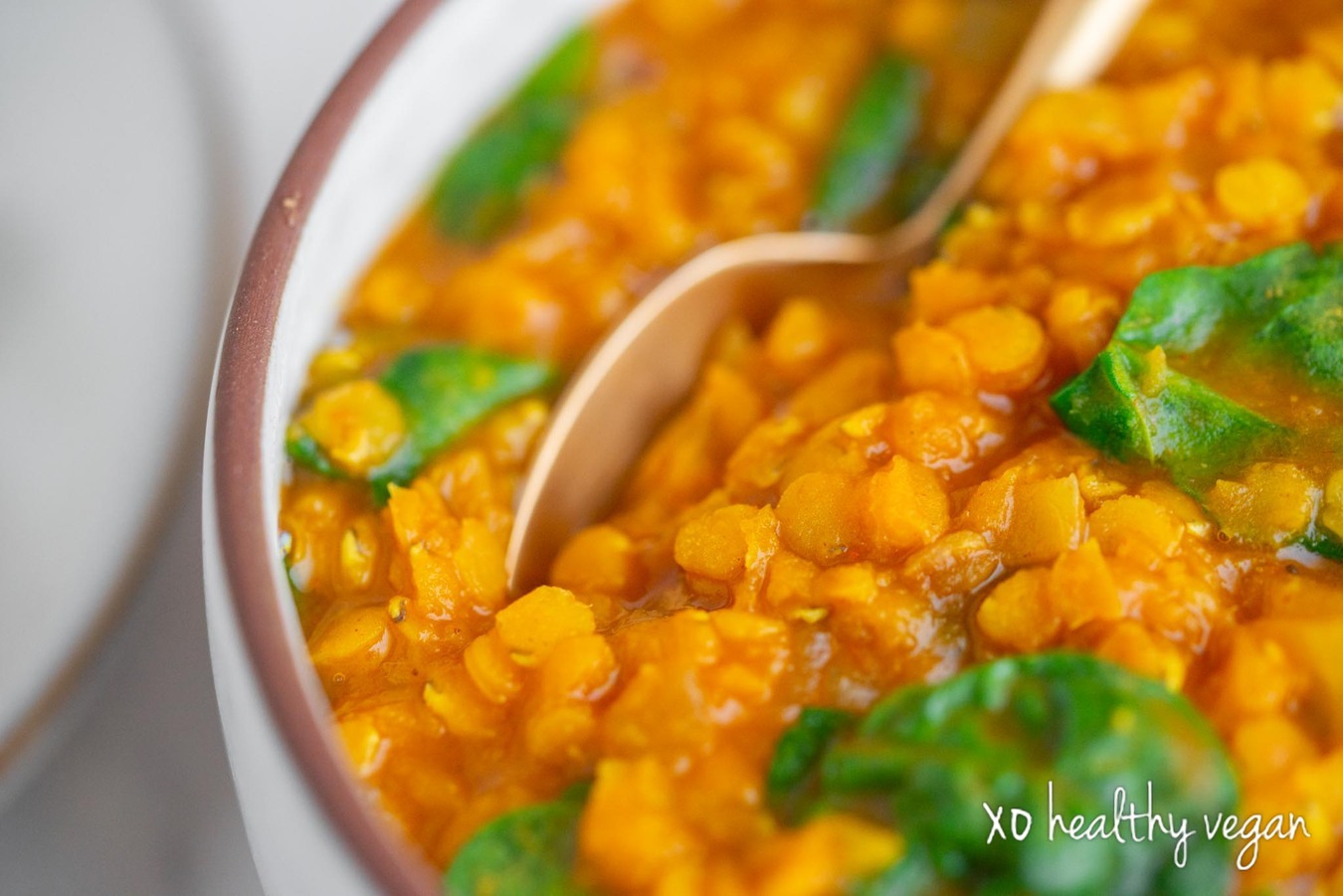 Healthy-Vegan-Ethiopian-Spiced-Red-Lentils-6