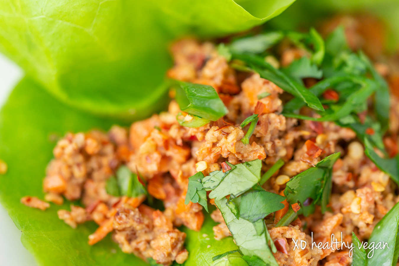 HealthyVegan-Thai-Lettuce-Wraps-5