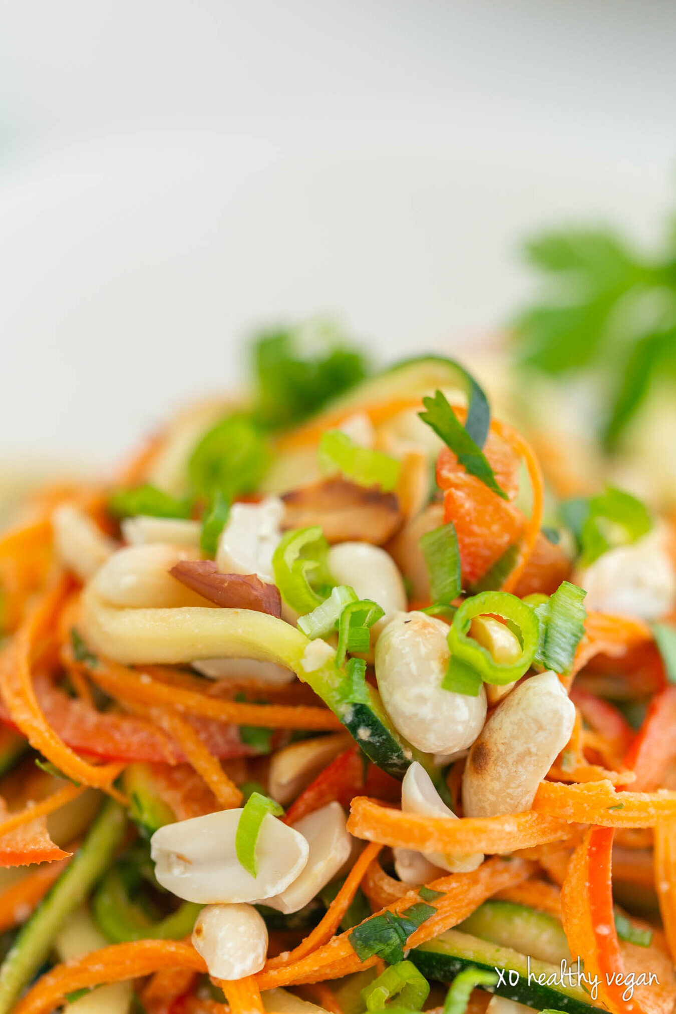 HealthyVegan-RawPadThai-9