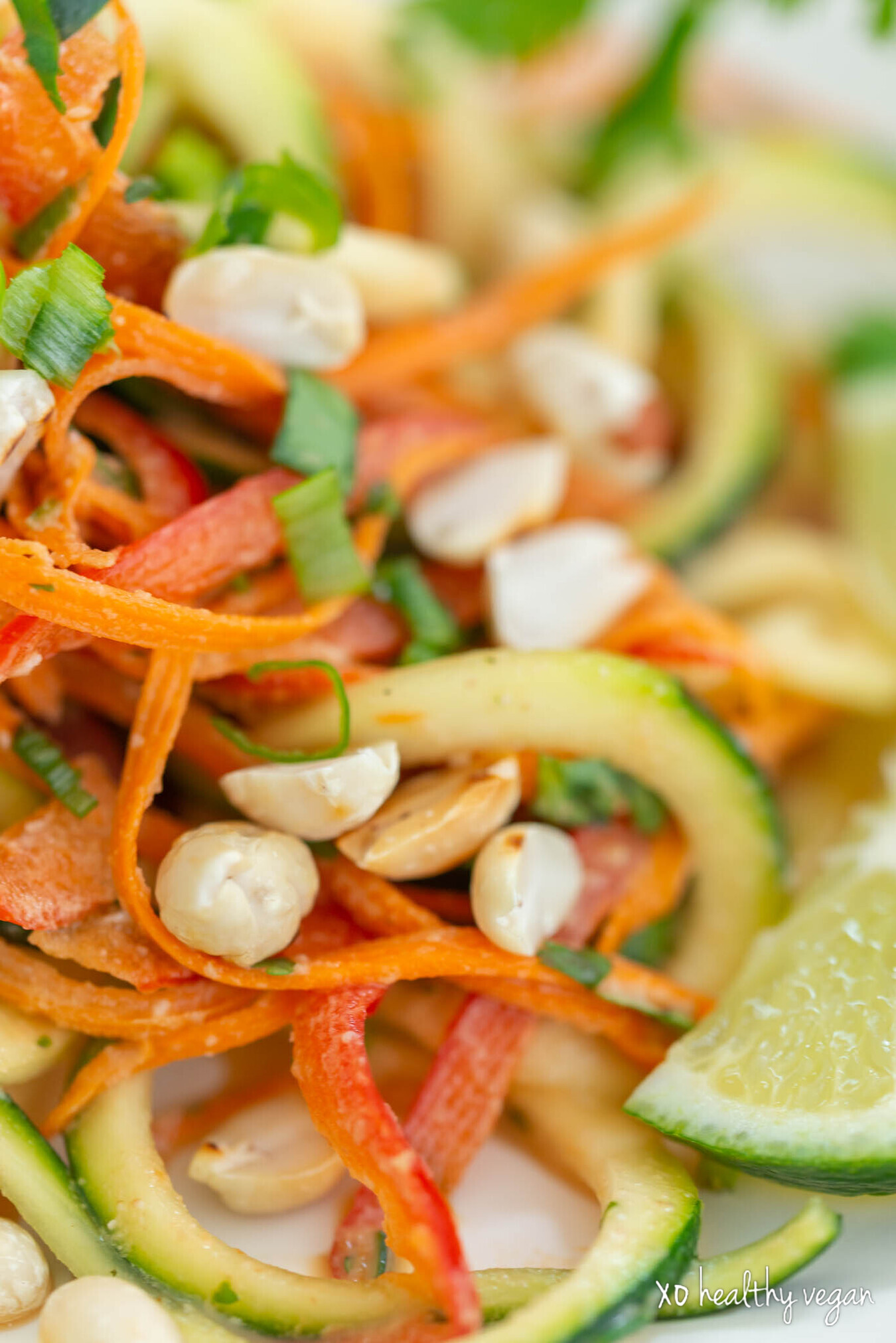 HealthyVegan-RawPadThai-10