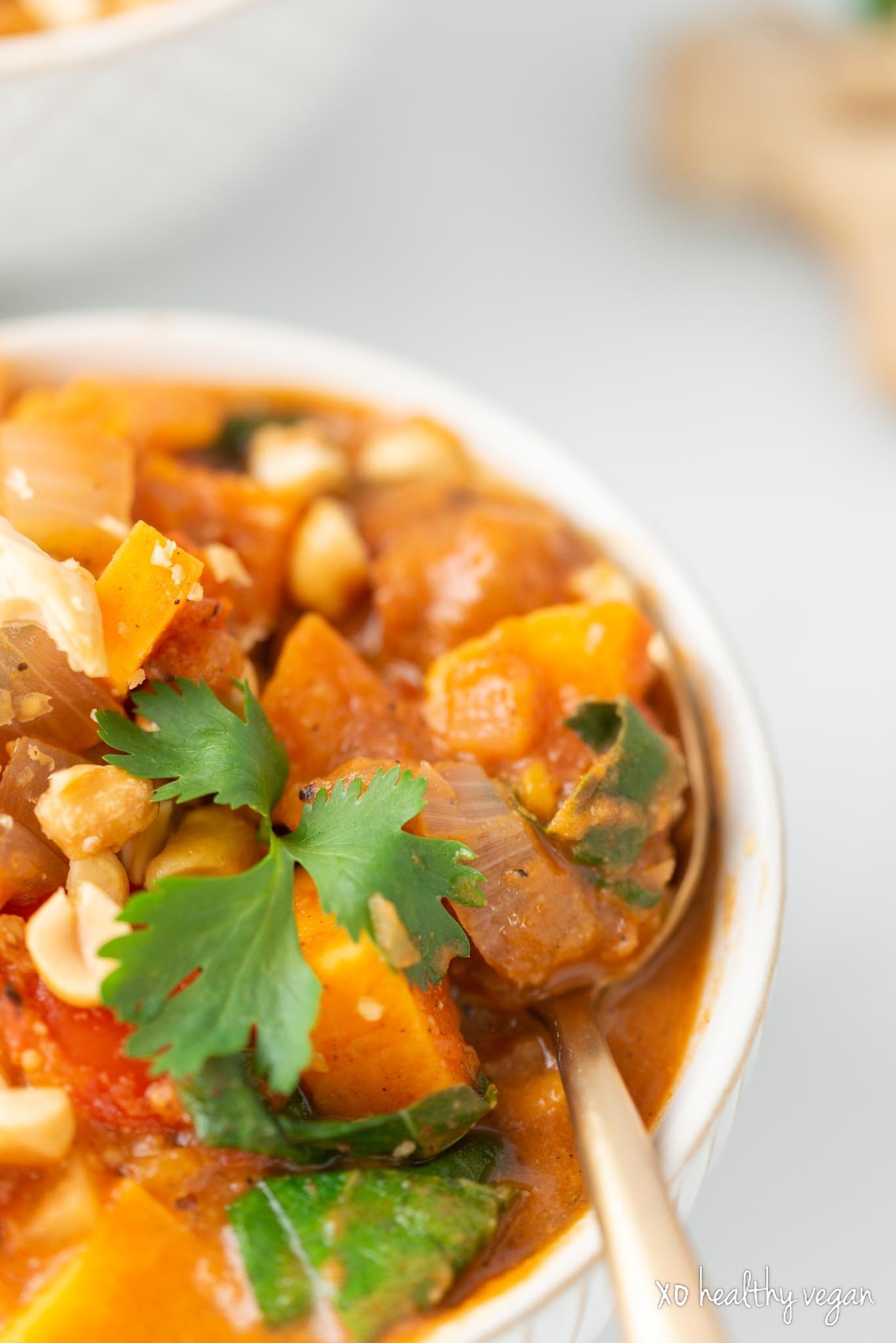 HealthyVegan-African-Sweet-Potato-Peanut-Stew-8