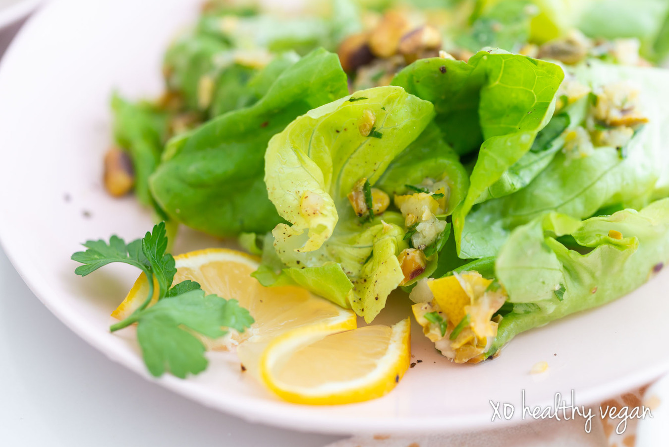 HealthyVegan-LemonSalad-2