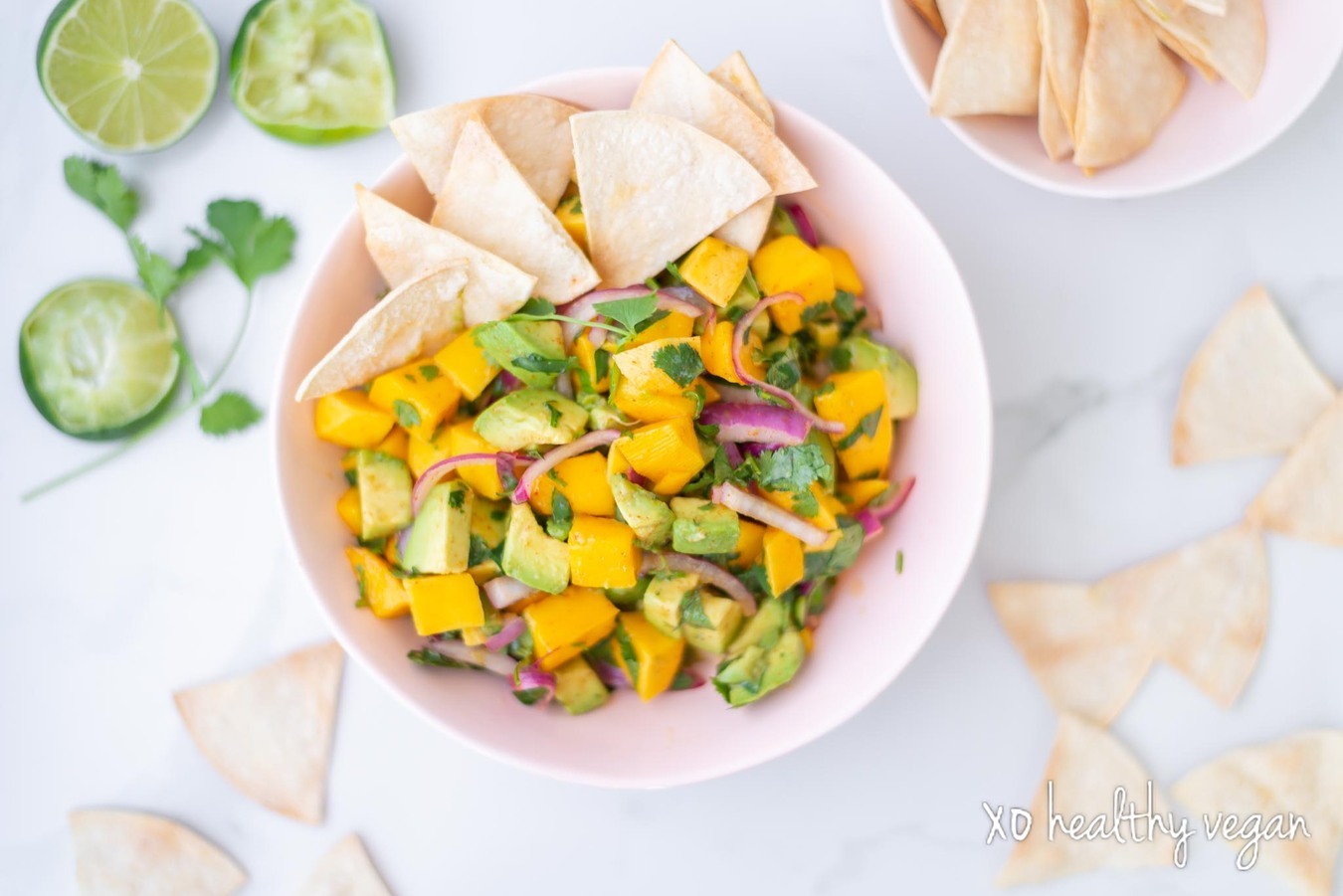 HealthyVegan-Mango-Avo-Ceviche-10